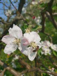 img-20190415-wa0071