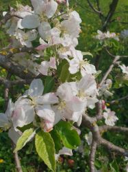 img-20190415-wa0078