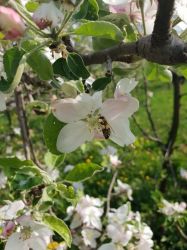 img-20190415-wa0085