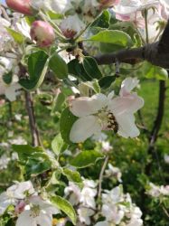 img-20190415-wa0087
