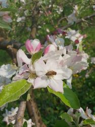 img-20190415-wa0089